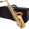 Mike Music Alto Saxophone Sax Brass Gold Woodwind Instrument with Padded Carry Case Gloves Cleaning Cloth Brush Sax Straps Reeds(Saxophone)