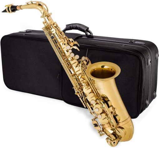 Mike Music Alto Saxophone Sax Brass Gold Woodwind Instrument with Padded Carry Case Gloves Cleaning Cloth Brush Sax Straps Reeds(Saxophone)