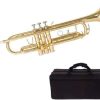 Mike Music Trumpet-Brass, Gold Trumpets w/Instrument Case, Cloth, Oil, Gloves-Musical Instruments For Beginner or Experienced (Trumpet)