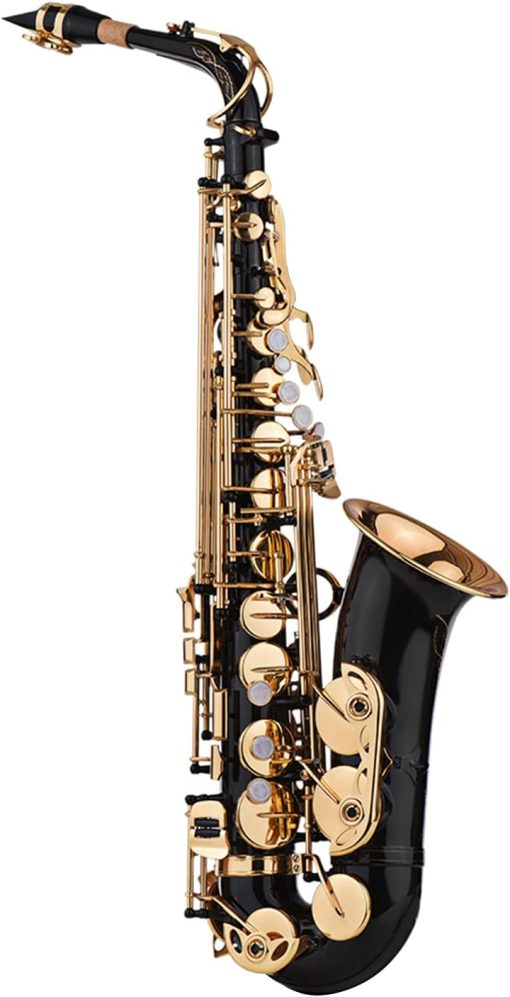 Alisashop Eb Alto Saxophone Sax Brass Lacquered Gold 82Z Key Type Woodwind Instrument with Padded Carry Case Gloves Cleaning Cloth Brush Sax Straps Reeds