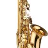 Alisashop AS100 Eb Alto Saxophone Brass Lacquered Alto Sax Wind Instrument with Carry Case Gloves Straps Cleaning Cloth Brush