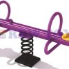 RBWTOY Fun Kids Seesaw Spring Rider Outdoor Toy Teeter Totters