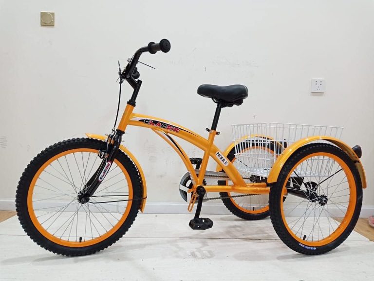 Classic 20 Inch Tricycle CL 2800, Orange